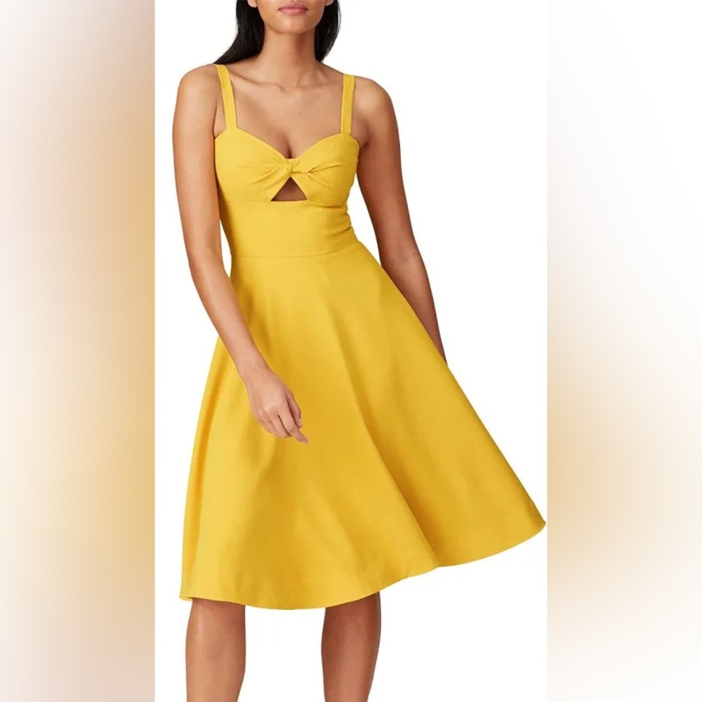 Dress the Population Bianca Dress